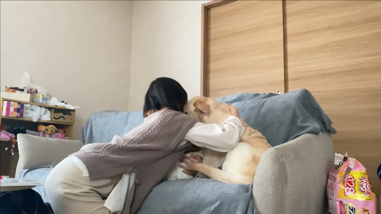 2匹の犬を抱きしめる女性