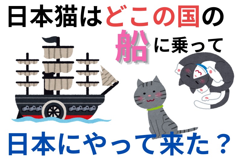 【猫の雑学クイズ】日本猫はどこの国の船に乗って日本にやって来たといわれている？