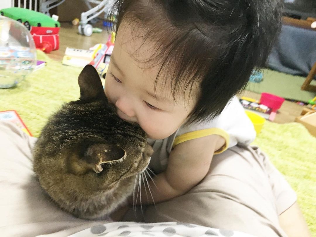 猫にキスをする子供
