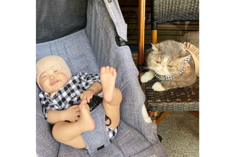 赤ちゃんと並ぶ猫