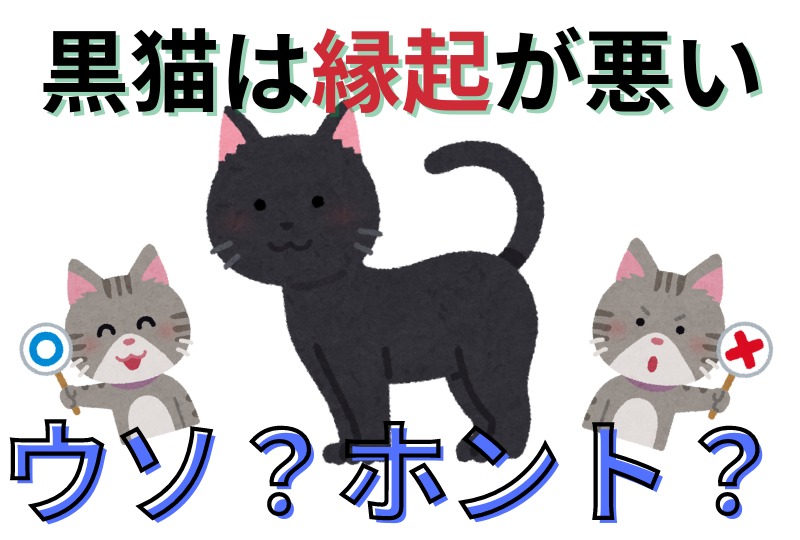 【猫の迷信クイズ】黒猫は縁起が悪い。ウソ？ホント？
