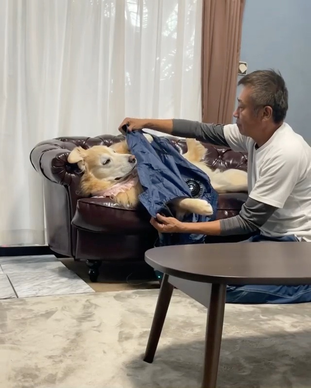 犬とパパさん