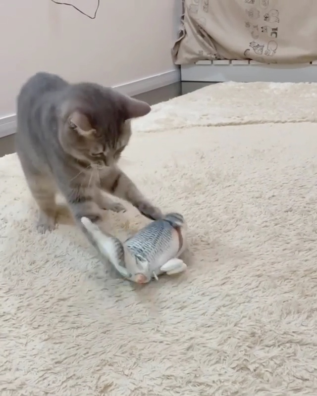 猫　魚のおもちゃ