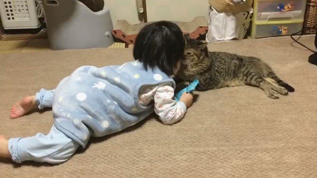 顔を近づける猫と子ども