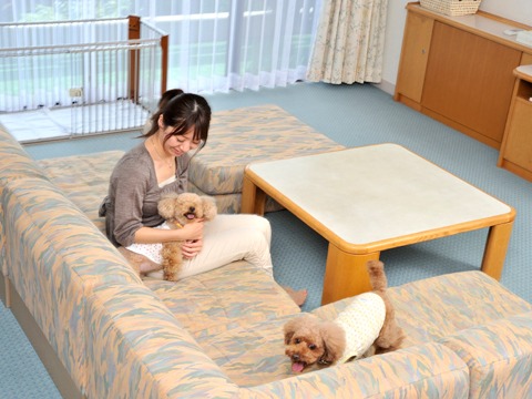 【関東近郊】ペットと泊まれる、人気の温泉旅館 8選！お部屋で愛犬とお食事も◎