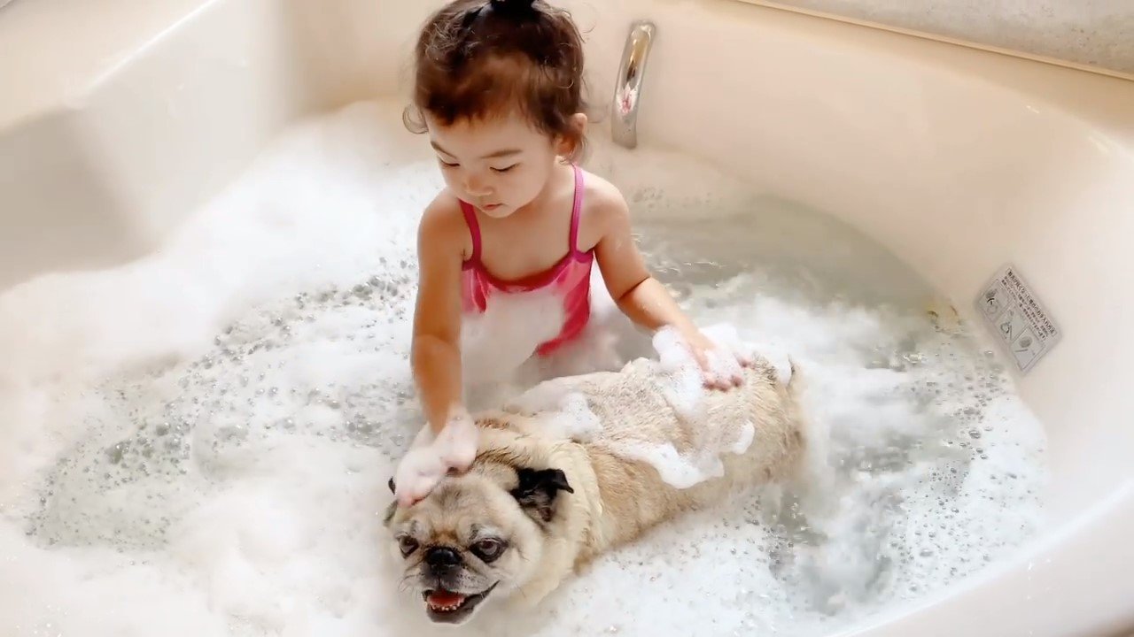 お風呂に入る犬と女の子