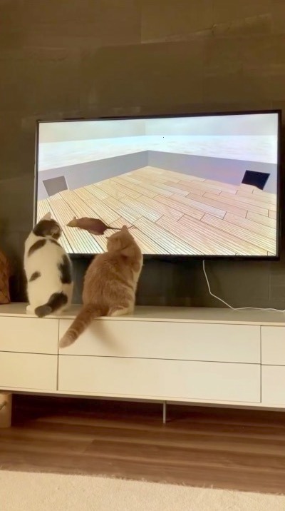 猫　画面のネズミを見る