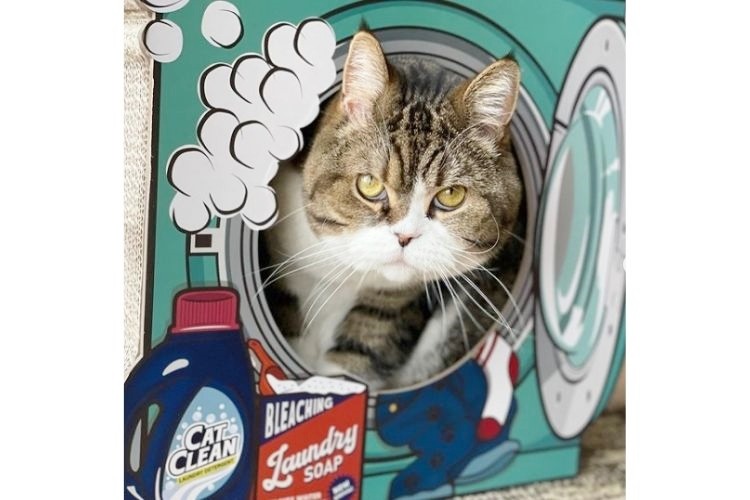洗濯機型のおもちゃに入った猫