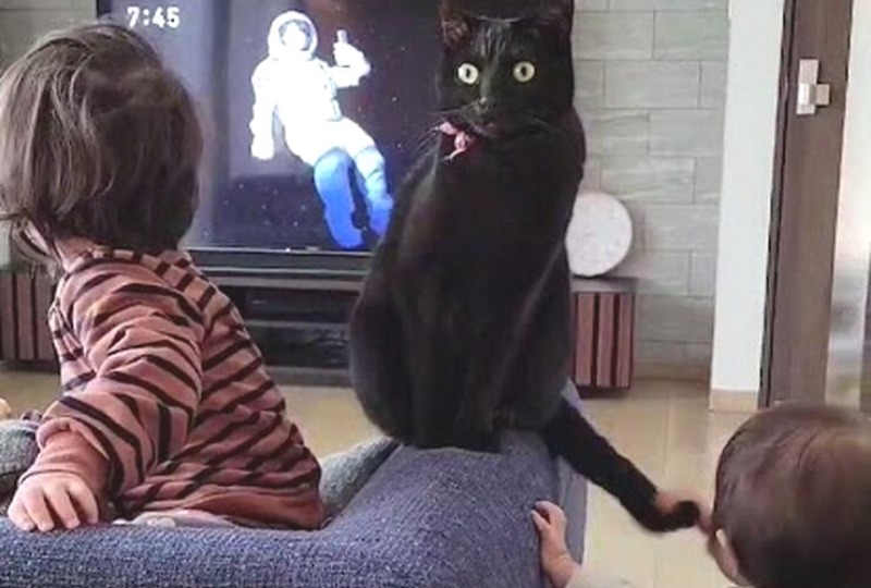 「見守ってますよ」子供達にはさまれた黒猫くんがベビーシッターみたいと話題！