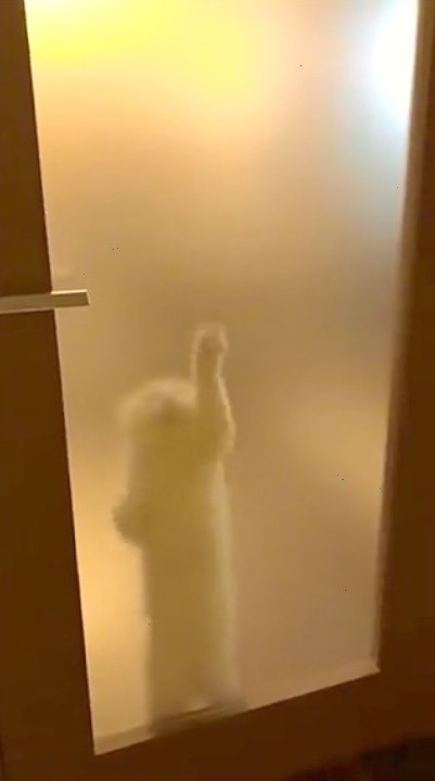 猫　扉を擦る