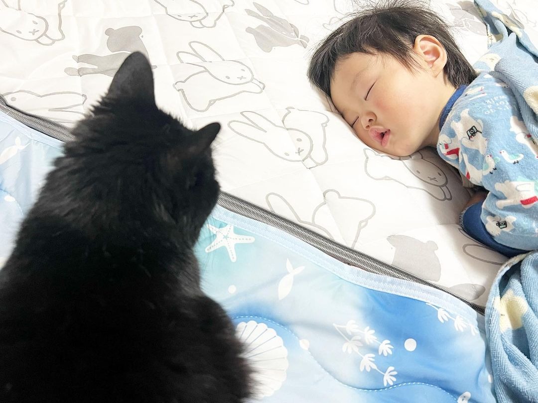 寝ている子どもを見ている猫