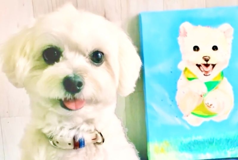 「可愛いでしょ〜♡」飛行犬の似顔絵を描いてもらったワンコの笑顔が最高にキュート