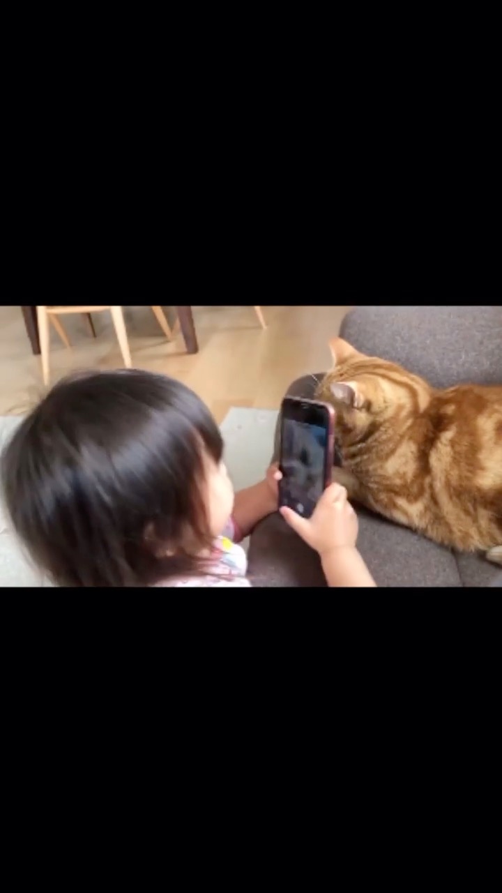 猫を撮影する女の子