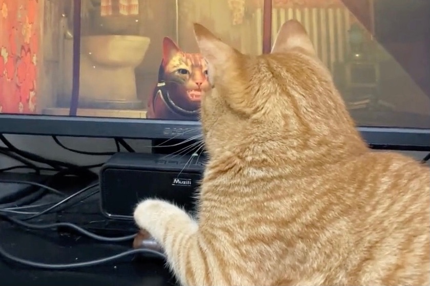 画面越しに会話してる！？ゲーム内の猫に“お返事”するニャンコが16万いいね【バズ部】