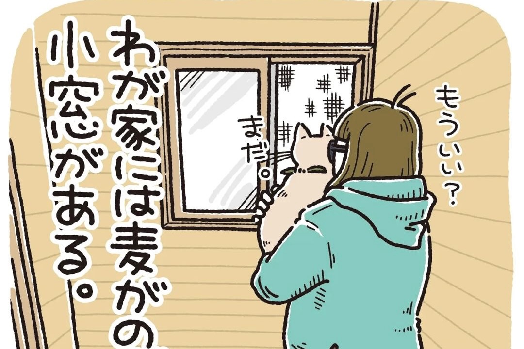【漫画】第16話：「すごい！」小窓に登れちゃう弟くんにびっくりなニャンコがかわいい♪【麦くん】