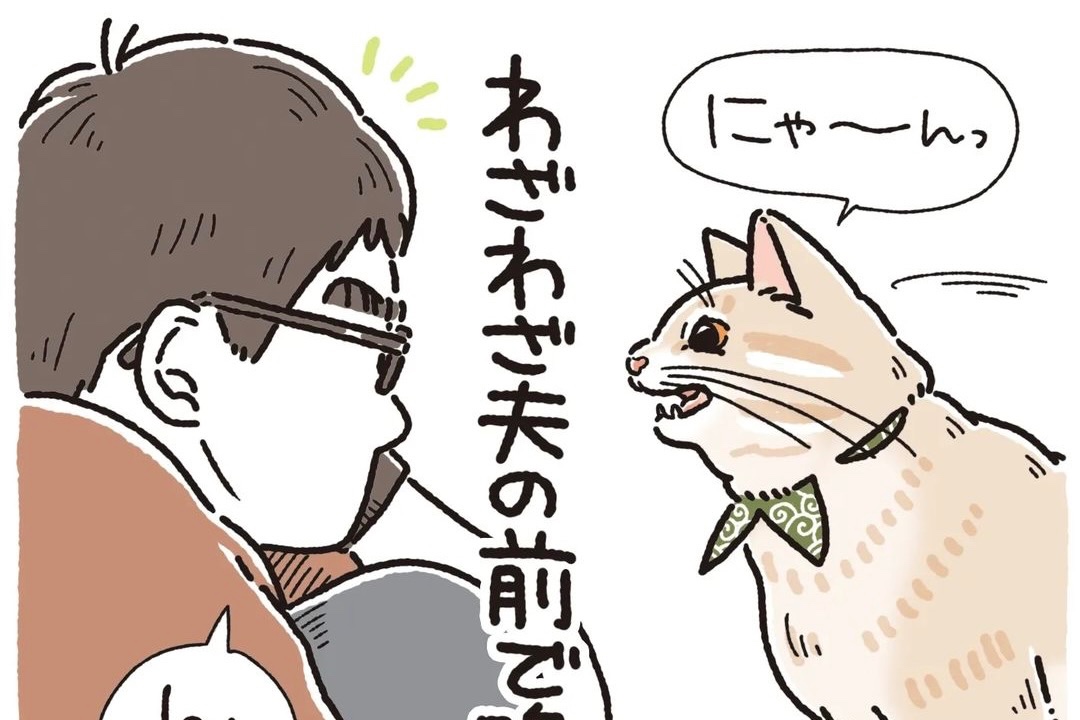 【漫画】第23話：「一緒に来てくれる？」ツンデレ猫が飼い主さんを誘導する理由に爆笑！【麦くん】