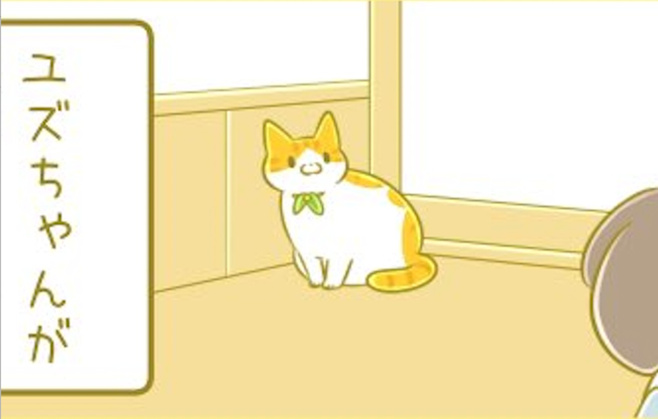 【漫画】第30話：隅っこは落ち着くニャン♪お気に入りの場所でまったりする猫ちゃんにホッ【ユズちゃん】