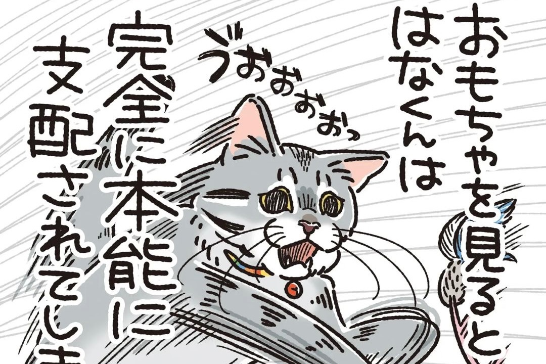 【漫画】第26話：そこまでやるの？！同居猫の遊びへの執着にドン引きのニャンコにクスッ♪【はなくん】