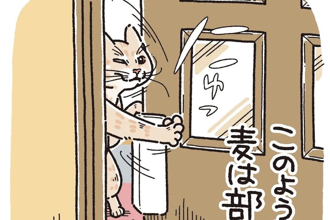 【漫画】第33話：「早く開けてよー？」猫様ぶりがとどまることを知らないニャンコにクスッ♪【麦くん】