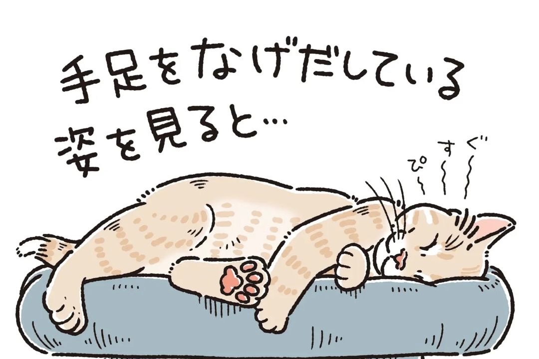 【漫画】第52話：猫好き一同共感必至！魅惑の肉球を持つニャンコにメロメロ♡【麦くん】