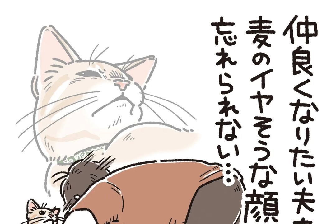 【漫画】第57話：「お父さん何してるの？！」嫌そうな顔すら愛おしい猫にクスッ♡【麦くん】