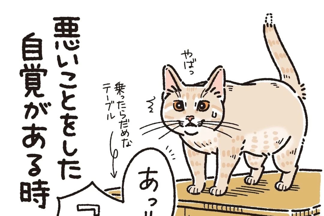 【漫画】第58話：「僕はいい子♡」？ごまかしすりすりの天才猫が可愛すぎてキュン♪【麦くん】