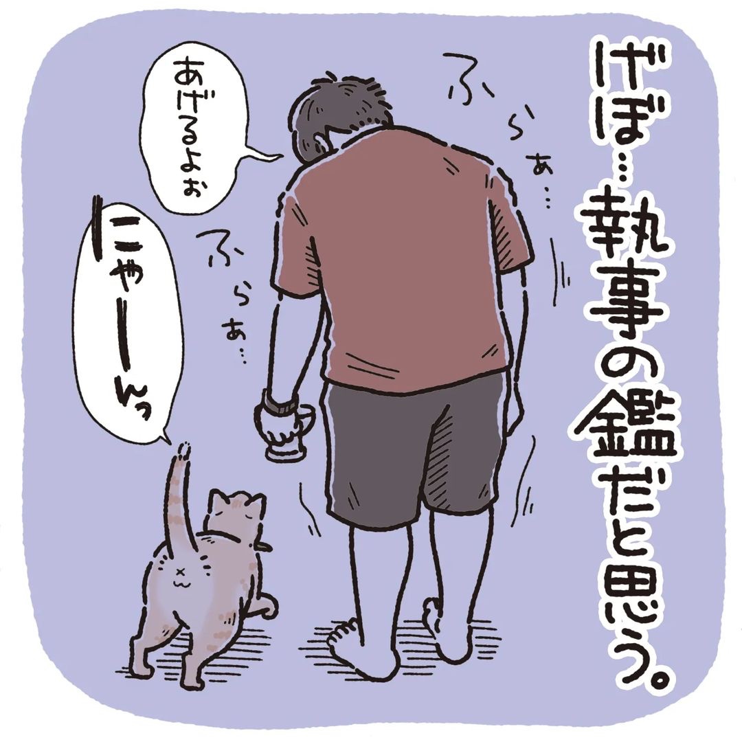 猫　起こす