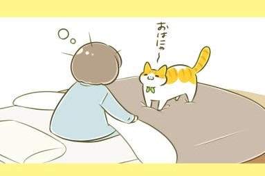 【漫画】第43話：来年が待ちきれない！飼い主さんとの寝正月を堪能する猫さんが可愛い♡【ユズちゃん】