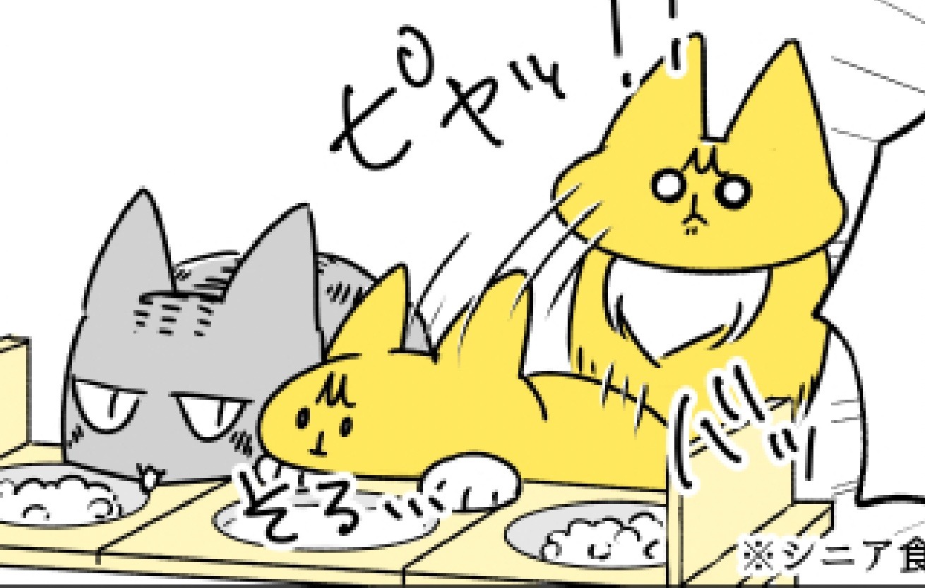 【漫画】第27話：「どーしても食べたいニャン」おこられても諦めないニャンコが賢すぎる！【殿くん】