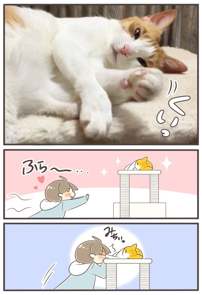 猫　招く