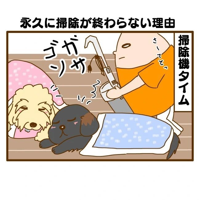犬　掃除