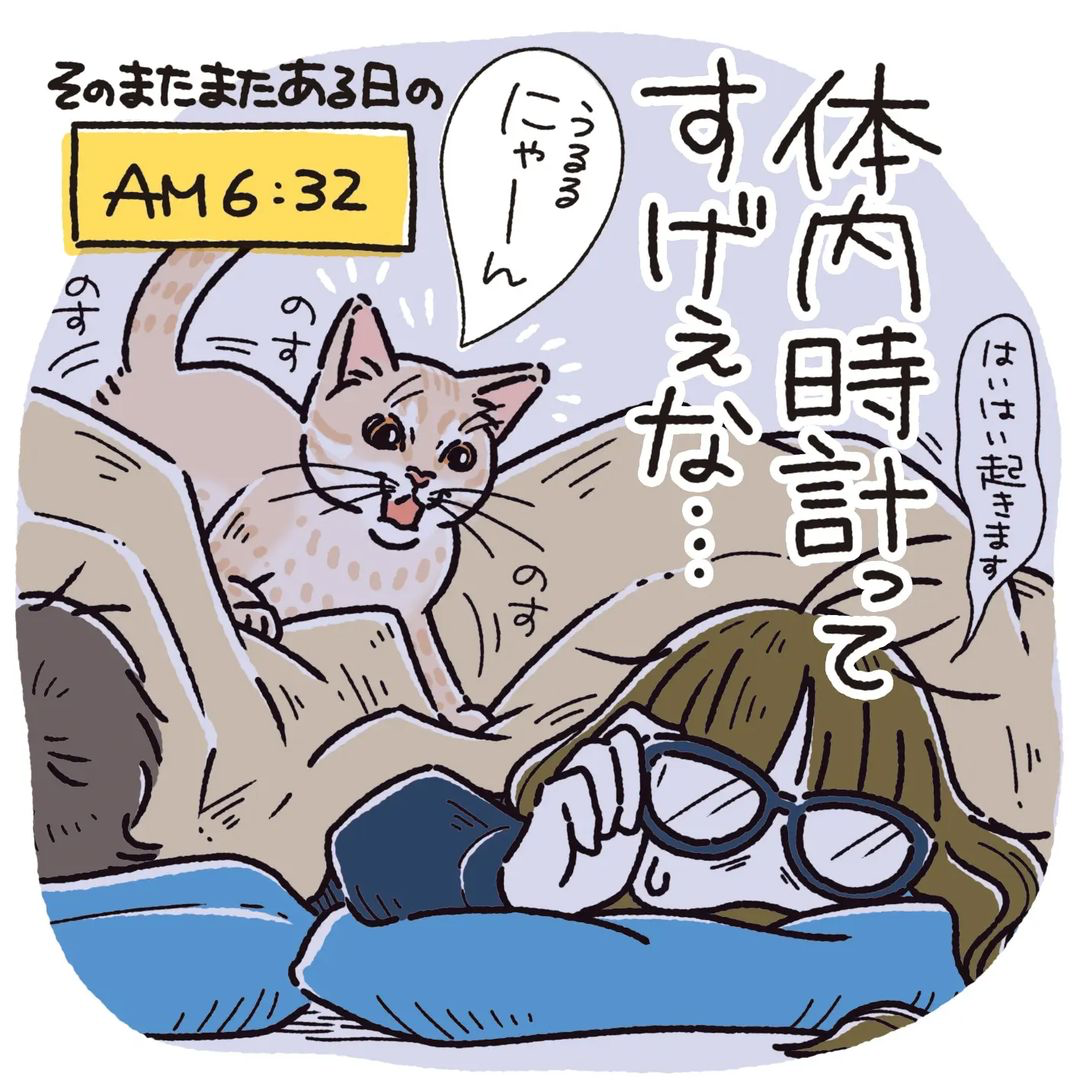 猫　起こす