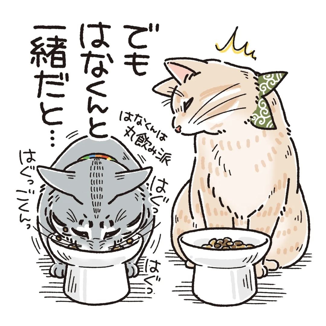 猫　食べる