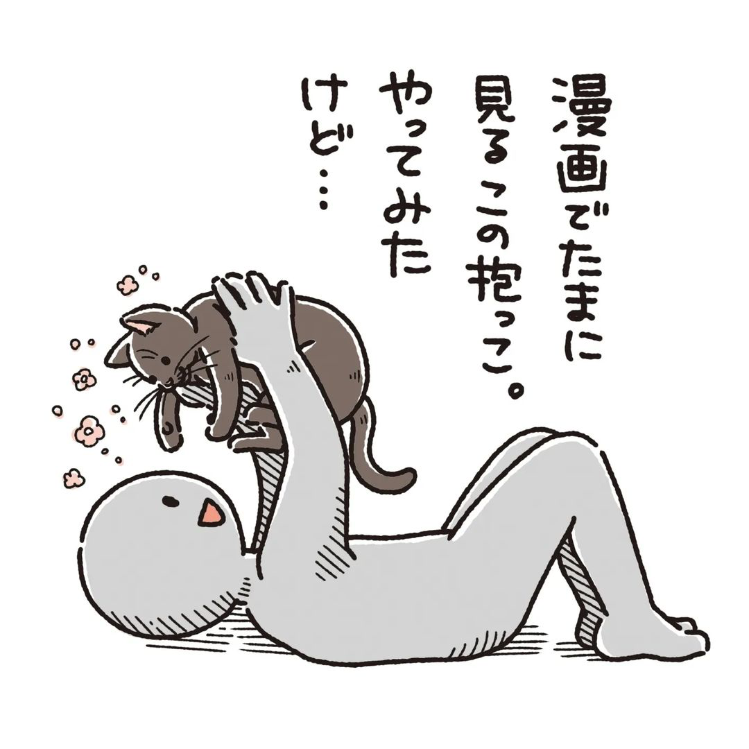 猫　抱っこ
