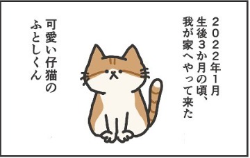 猫　あいさつ　漫画