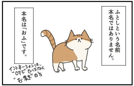 猫　名前　漫画