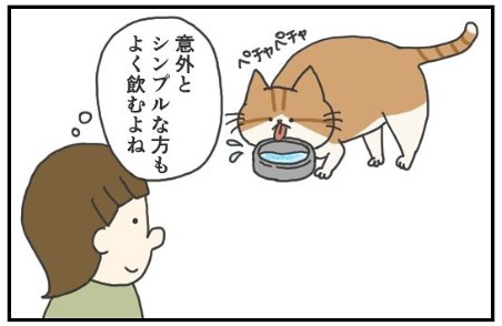 猫　水