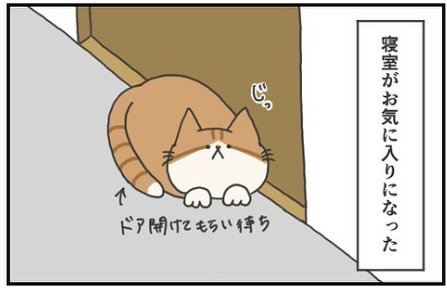 猫　ベッド 漫画