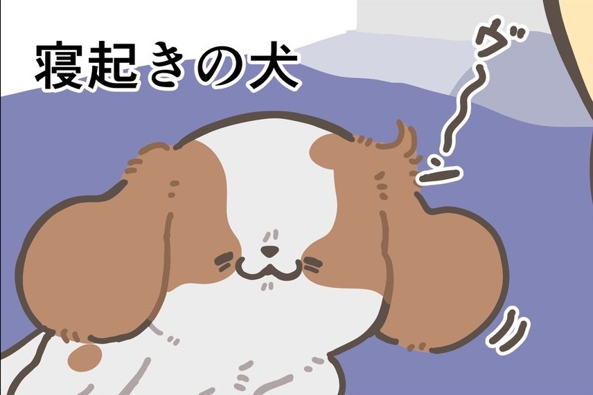 【漫画】第20話：嗅いでると癖になる？！寝起きの息がクサイけど可愛いワンコ♡【犬ちゃん】
