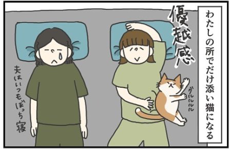 猫　添い寝