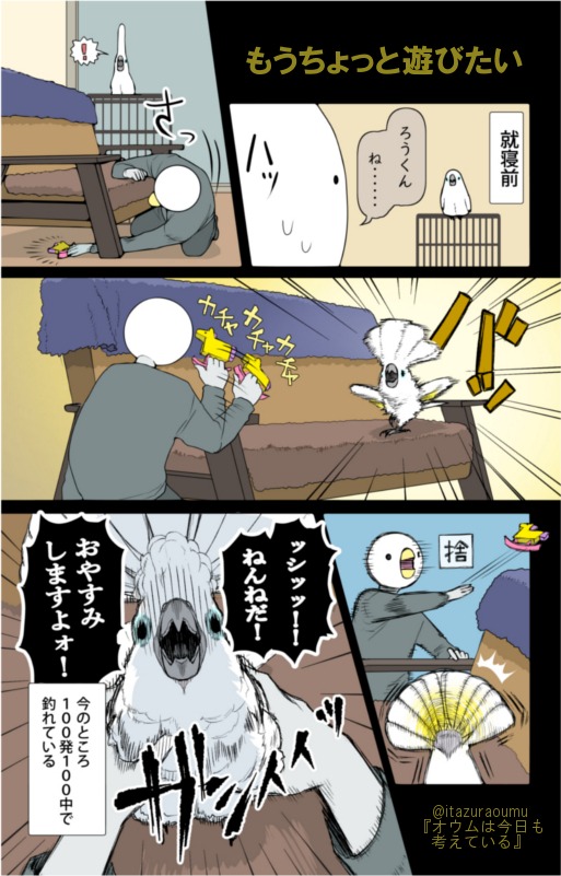 オウム　遊ぶ　漫画