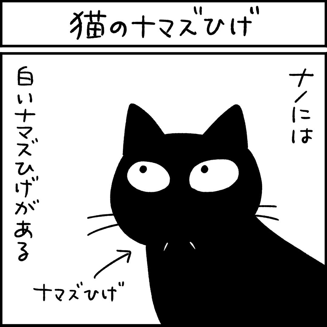 猫　ひげ