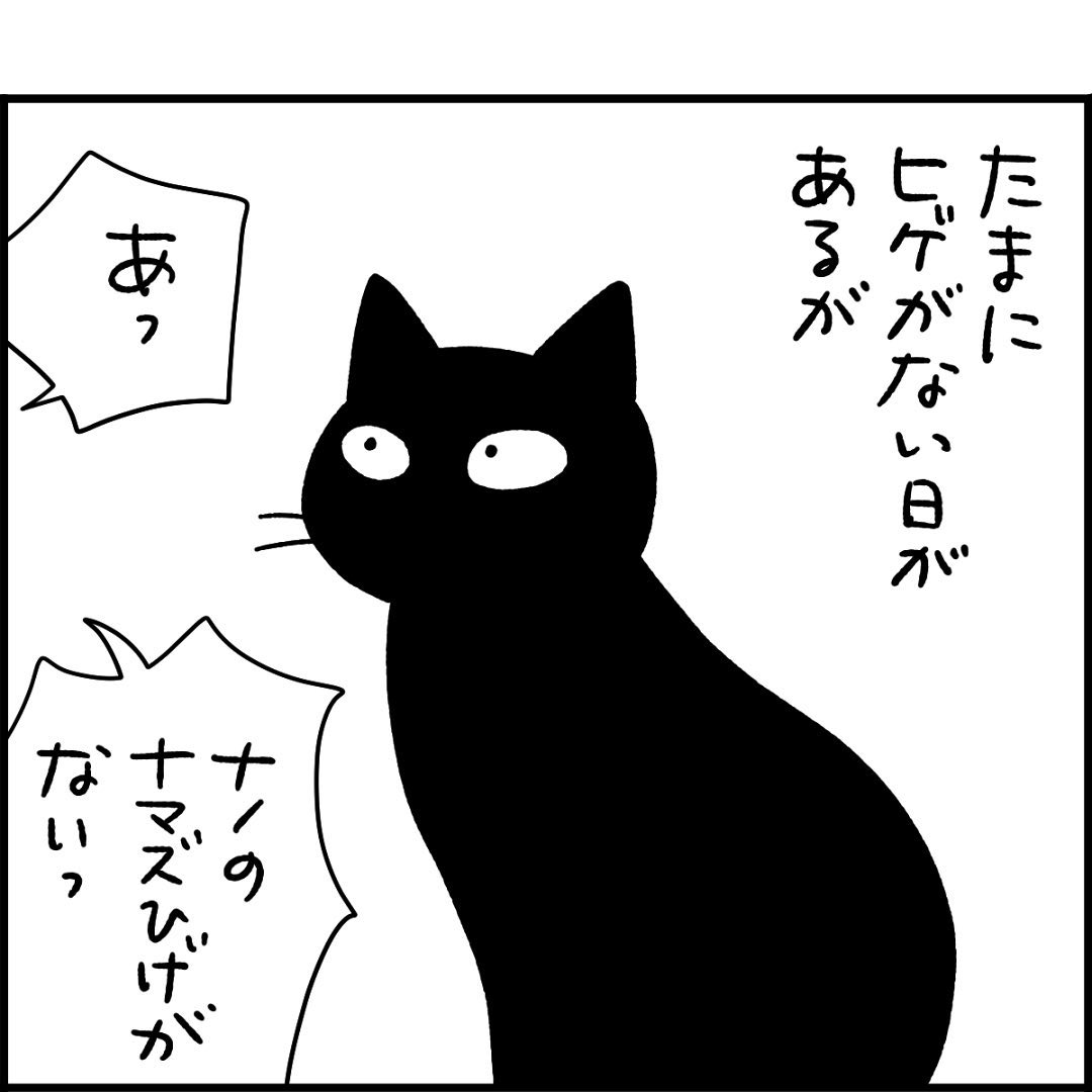 猫　ひげ
