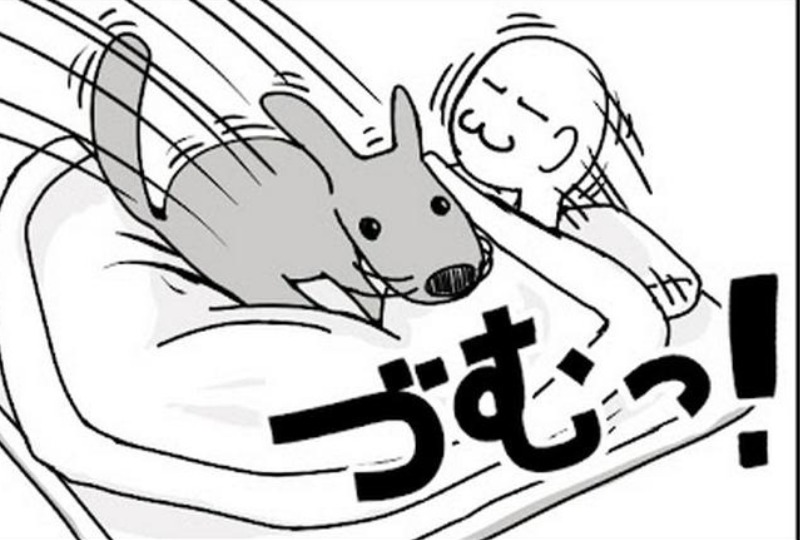 【漫画】第35話：“タタタ…づむ！”わざと飼い主さんを踏んづけるワンコに爆笑♪【ひばちくん】