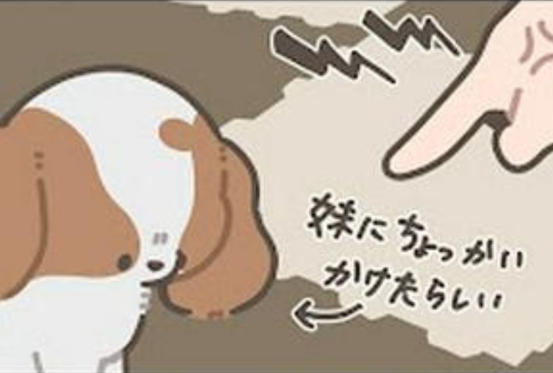 【漫画】第2話：「慰めてほしいワン」飼い主さんの足にしっぽで触れてアピールするワンコが可愛い【犬ちゃん】