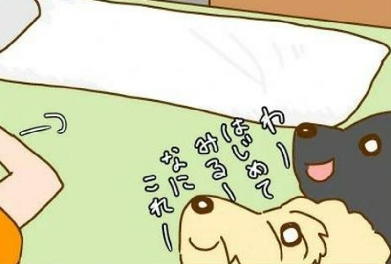 【漫画】第33話：ママありがとう？素敵な寝床の意味を勘違いするワンコが迷惑だけどかわいい♪【ルイボスちゃん】