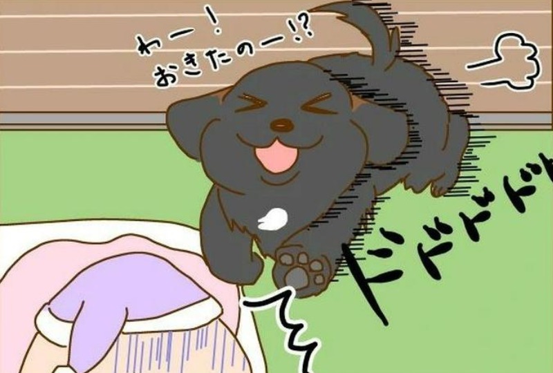 【漫画】第34話：「やっとママが起きた♡」愛しの飼い主さんに朝からベッタリの大型犬たちが可愛すぎ！【スモアちゃん】