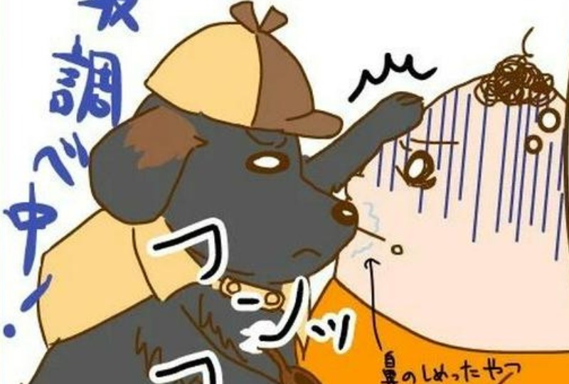 【漫画】第31話：名探偵犬？匂いをクンクン調査活動が忙しいワンコが可愛すぎ！【スモアちゃん】