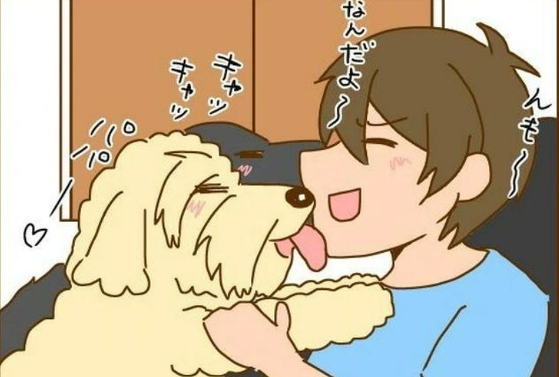 【漫画】第29話：物理的な意味で重い愛？！大型犬飼いあるあるが可愛すぎてキュン♡【ルイボスちゃん】