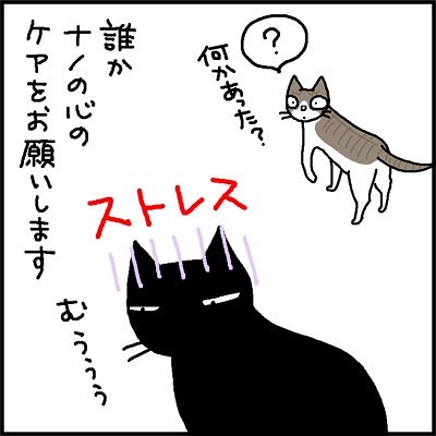 猫　喧嘩　漫画